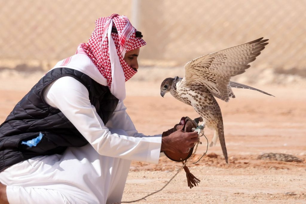 القرانيس