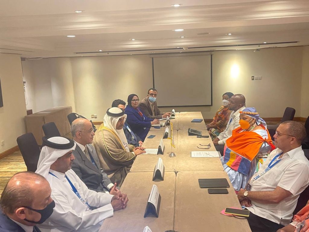 رئيس البرلمان العربي: القارة الأفريقية تمثل العمق الاستراتيجي الأول للدول العربية