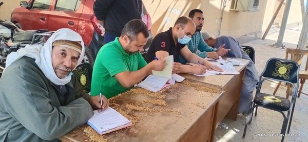 42565 طن و 456 كجم من الاقماح المحلية تم توريدها لصوامع كفر الشيخ حتي صباح السبت