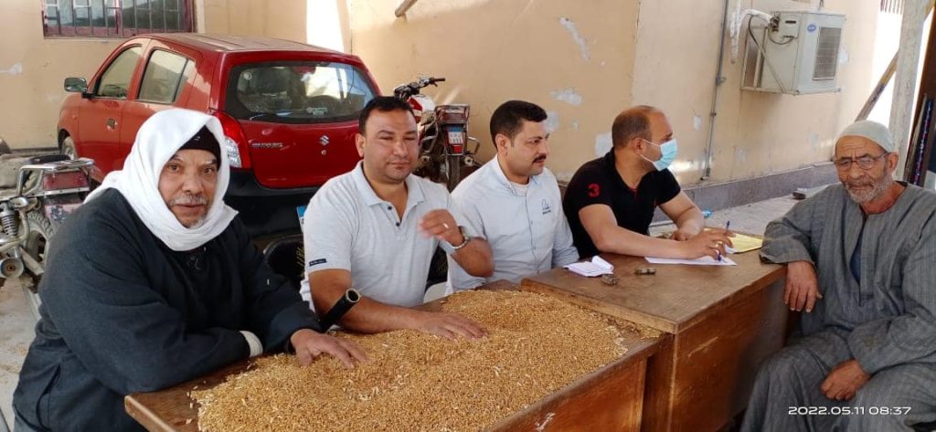 87410 طن و 158 كجم من الاقماح المحلية تم توريدها لصوامع كفر الشيخ حتي صباح اليوم