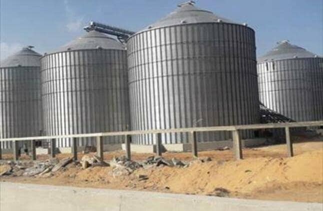 201102 طن و437 كجم من الاقماح المحلية تم توريدها لصوامع كفر الشيخ حتي صباح اليوم