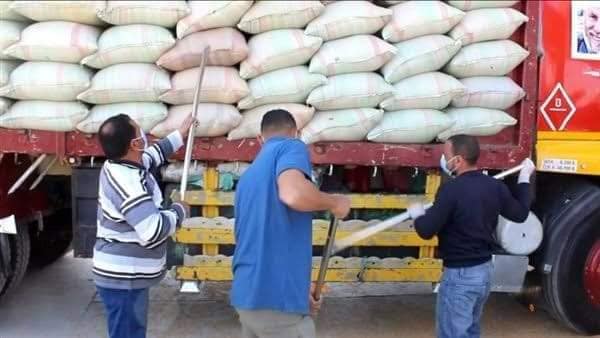 230579 طن و 224 كجم من الاقماح المحلية تم توريدها لصوامع كفر الشيخ حتي صباح الاحد