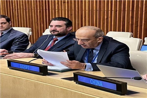 مصر تؤكد دعمها الكامل للحقوق المشروعة للشعب الفلسطيني وترفض تقويض حل الدولتين