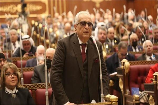 «وكيل الشيوخ»: لم أطالب بتخصيص جزء من راتب المصريين بالخارج لصالح الدولة