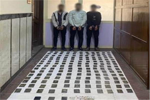 سقوط 11 عنصرًا إجراميًا بـ600 طربة حشيش قيمتها 4.5 مليون جنيه