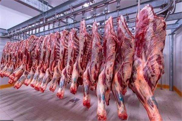 التموين: كيلو اللحمة بـ 195 جنيه.. واستقبال كميات من السودان وجيبوتي التموين
