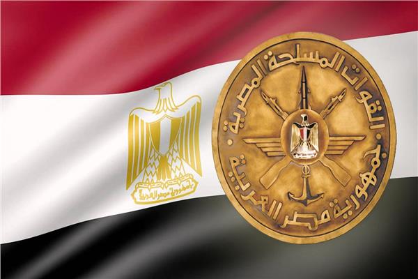وصول أولى شحنات الأدوية المشتقة من البلازما المصرية من أسبانيا