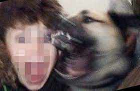 استغاثه لوزير الزراعه!!!!!!كلب مسعور بالمعادي يقتل عجوز ويعقر فتاة وطفل والأهالي تستغيث