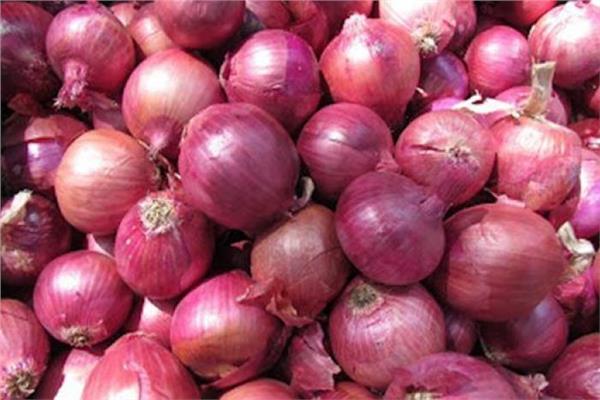 شعبة الخضروات والفاكهة: ارتفاع أسعار البصل يعود لانخفاض المساحات المزروعة