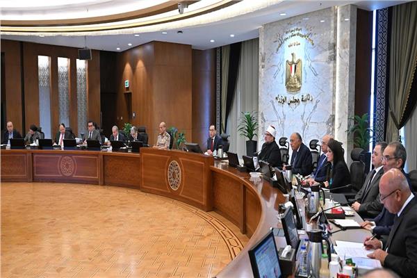 أبرزهم نقل وزرع الكلى.. الحكومة توافق على 10 قرارات هامة