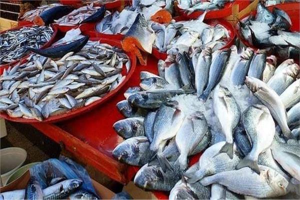 البحيرات الشمالية تنتج 198 ألف طن من الأسماك
