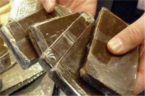 سقوط «عصابة أُسرية» للاتجار في المخدرات بالطالبية