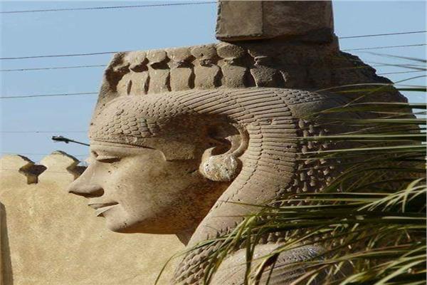 أصل الحكاية.. «ميريت آمون» تعيد النظر في المقاييس الدولية للجمال