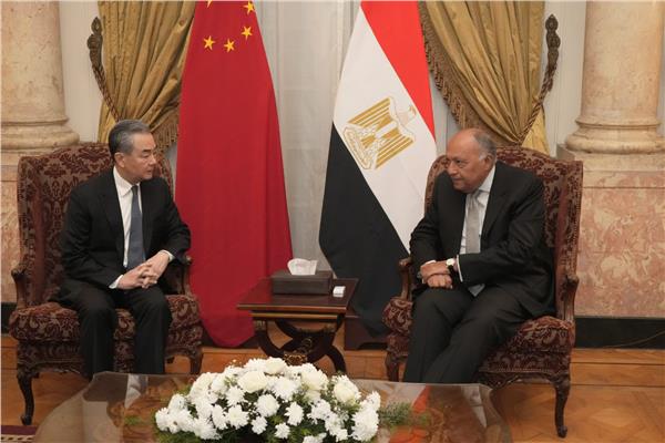 سامح شكري يستقبل وزير خارجية الصين