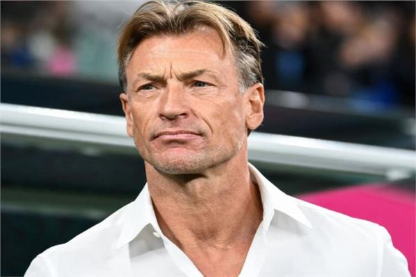 حقيقة مفاوضات اتحاد الكرة مع هيرفي رينارد لتولي تدريب منتخب مصر
