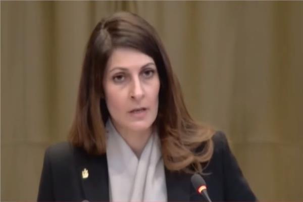 ممثل مصر أمام العدل الدولية: تغيرات إسرائيل الديموغرافية للأراضي الفلسطينية غير مقبولة