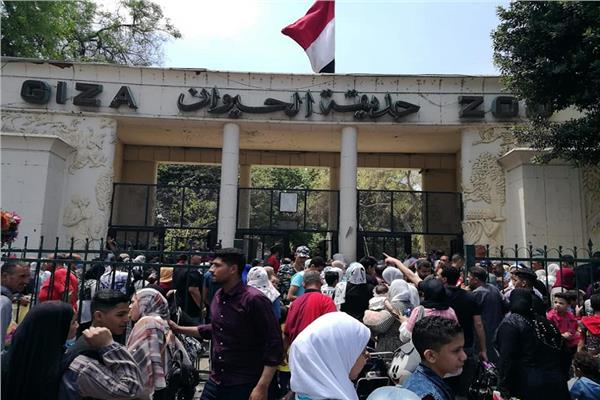 هل سيتم فتح حديقة الحيوان للزائرين في عيد الفطر؟ متحدث الزراعة يجيب