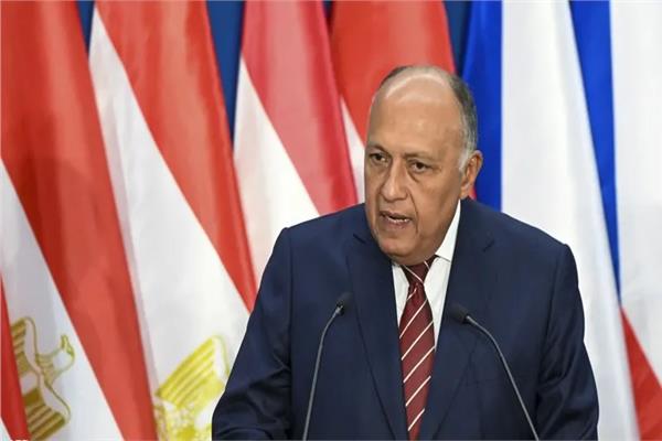 وزير الخارجية: اضطراب الملاحة في البحر الأحمر يزيد التوتر بالمنطقة