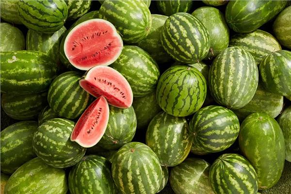 هل البطيخ المتواجد في الأسواق مسرطن؟.. البحوث الزراعية يجيب