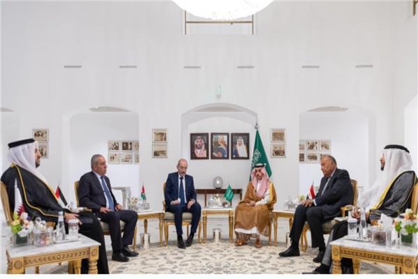 شكري يُشارِك بالاجتماع التشاوري لبحث جهود وقف الحرب الإسرائيلية على غزة