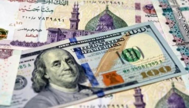 سعر الدولار في مصر.. هل يتحكم البنك المركزي بتحركات سعر الصرف؟