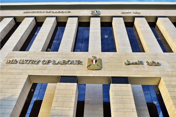 للحكومة والقطاع الخاص.. «العمل» توضح التدرج في مستويات الأجور