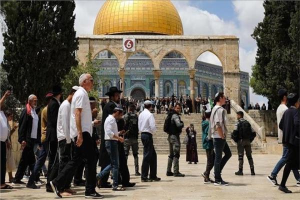 مُستوطنون يقتحمون الأقصى.. والاحتلال الإسرائيلي يعتقل 30 فلسطينيا من الضفة الغربية