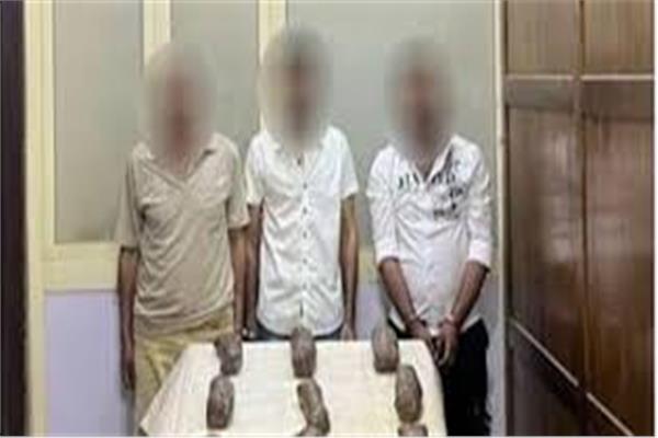 بقيمة 1.2 مليون جنيه.. ضبط 3 عناصر إجرامية بحوزتهم 12 كيلو أفيون بالإسكندرية