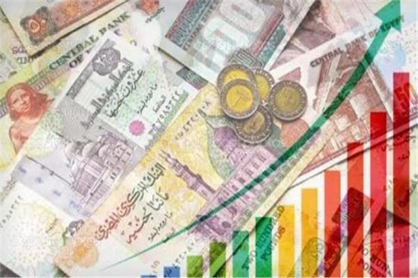 رسميًا.. بدء العمل بالموازنة العامة للدولة اليوم