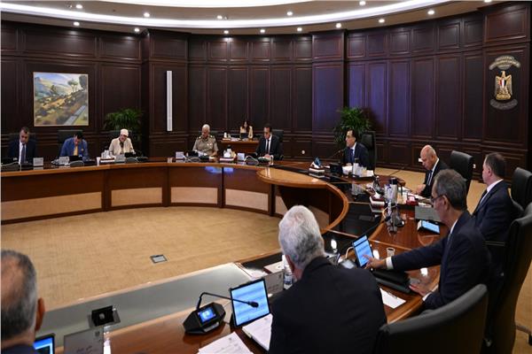 «مدبولي» يُشدد على ضرورة التحرك لتأمين احتياجات مصر من الدواء