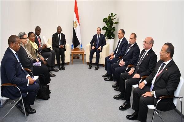 «السيسي» و«رامافوزا» يتفقان على ضرورة التعاون المشترك لتحقيق مصالح أفريقيا