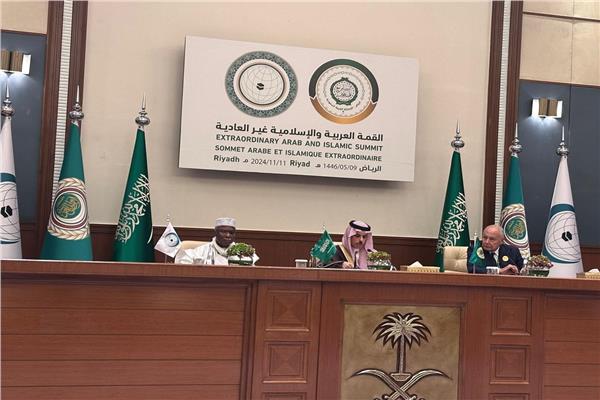 أبو الغيط: التحرك لتجميد عضوية إسرائيل تاريخي.. وبن فرحان: الاحتلال يدمر حل الدولتين