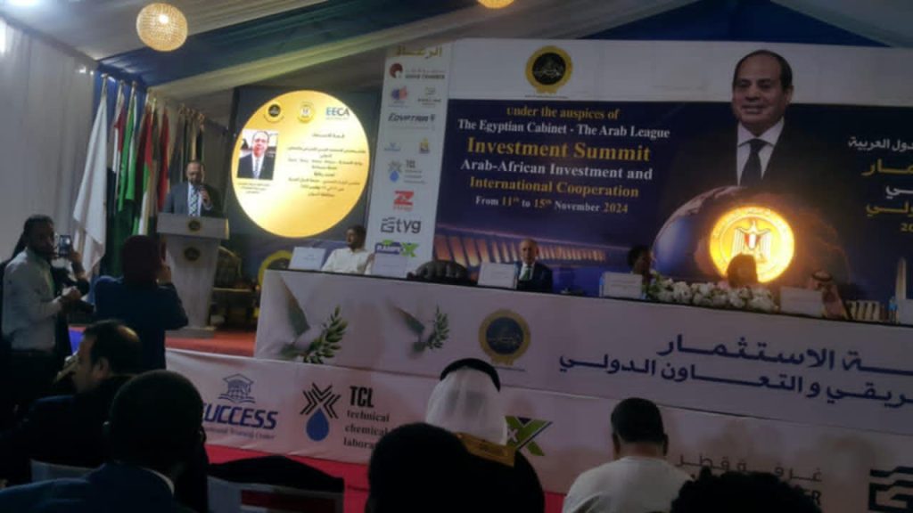 شريف الماوردى : أهمية هذه القمة في ظل التحديات الراهنة التي تواجه الدول العربية والإفريقية