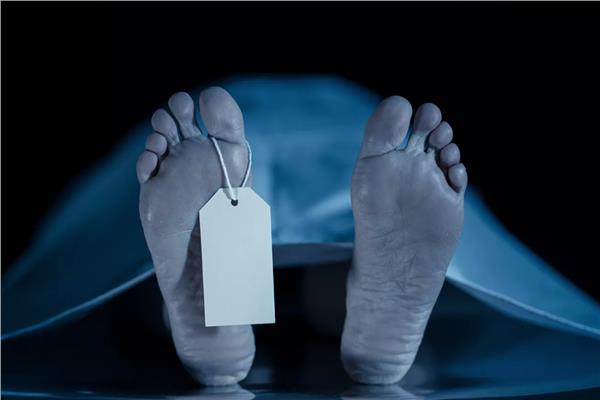 جريمة مروعة بسبب «مراجيح العيد» في الغربية