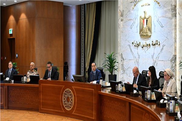 تُباع بالدولار فقط.. «الوزراء»: تخصيص أراضٍ لـ27 مشروعاً استثمارياً في 11 مدينة