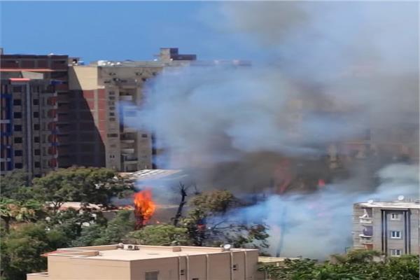 حريق يدمر أشجار في بيانكي بحي العجمي بالإسكندرية