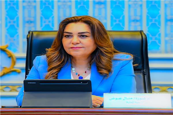 خلال ساعات.. وزيرة التنمية المحلية تعتمد حركة لسكرتيري العموم وسكرتير العموم المساعدين