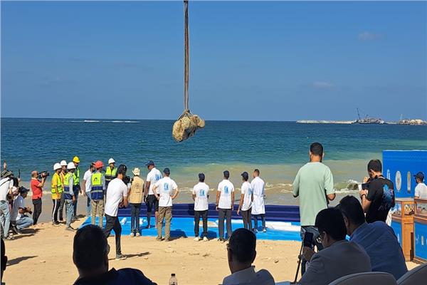 بعد 25 عامًا من الصمت.. رحلة استعادة الكنوز الأثرية من أعماق البحر