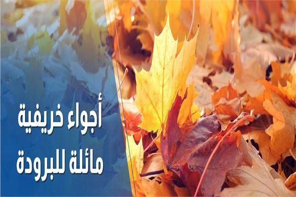 البسوا خريفي.. الأرصاد تحذر برودة الطقس في الساعات المتأخرة من الليل
