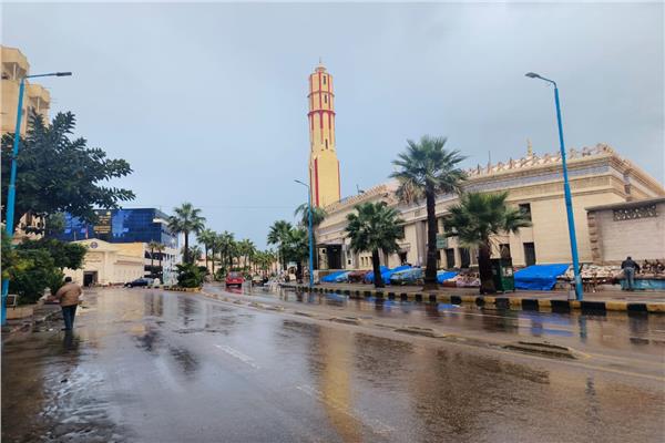 «أمطار غزيرة وصقيع».. نوة قاسم تضرب الإسكندرية من جديد
