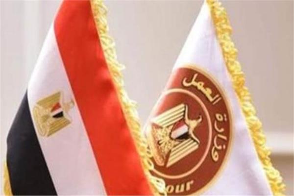 «العمل» تعلن عن 154 وظيفة للشباب برواتب تصل لـ25 ألف جنيه