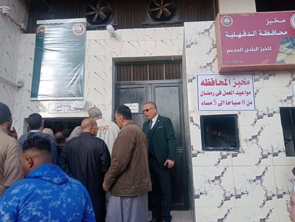 محافظ الدقهلية: ضبط 162 مخالفة تموينية خلال حملات تفتيش مكثفة في يومين