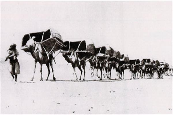 أمير الحج وقلاع سيناء.. أسرار المنظومة المصرية لإدارة قوافل الحج قبل 8 قرون