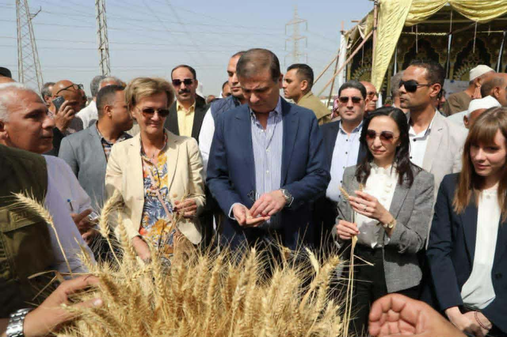 حصاد الذهب الأخضر: كيف حققت مصر طفرة تاريخية في قطاع الزراعة والأمن الغذائي