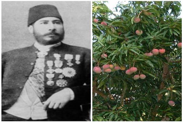 أبو الخيرين وصديق عرابي.. حكاية الباشا الذي عمر الغربية وأدخل المانجو إلى مصر