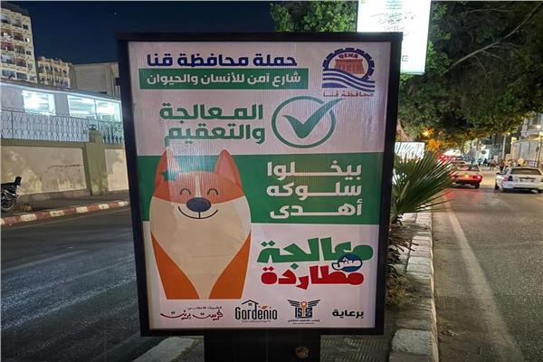 لحماية المواطنين والحيوان معاً.. تفاصيل المبادرة الميدانية للتعامل مع ظاهرة الكلاب في قنا