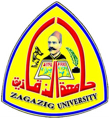 إنجاز طبي جديد.. اعتماد طب أطفال جامعة الزقازيق مركزاً للتدريب بالبورد العربي في 5 تخصصات دقيقة
