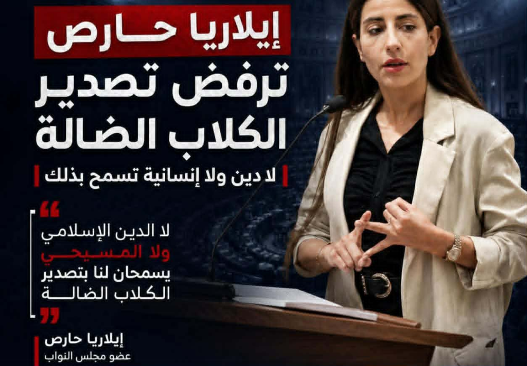 نائبة برلمانية ترفض تصدير الكلاب الضالة: “نعرف جيداً ماذا سيحدث لها”!