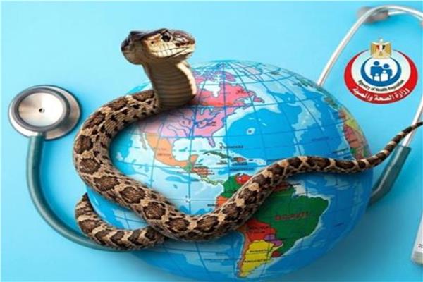 «الصحة»: ظهور الزواحف نشاط صيفي طبيعي ومخزون أمصال «فاكسيرا» آمن