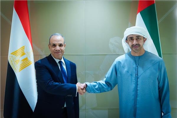 مصر والإمارات تؤكدان محورية حرية الملاحة في مضيق هرمز